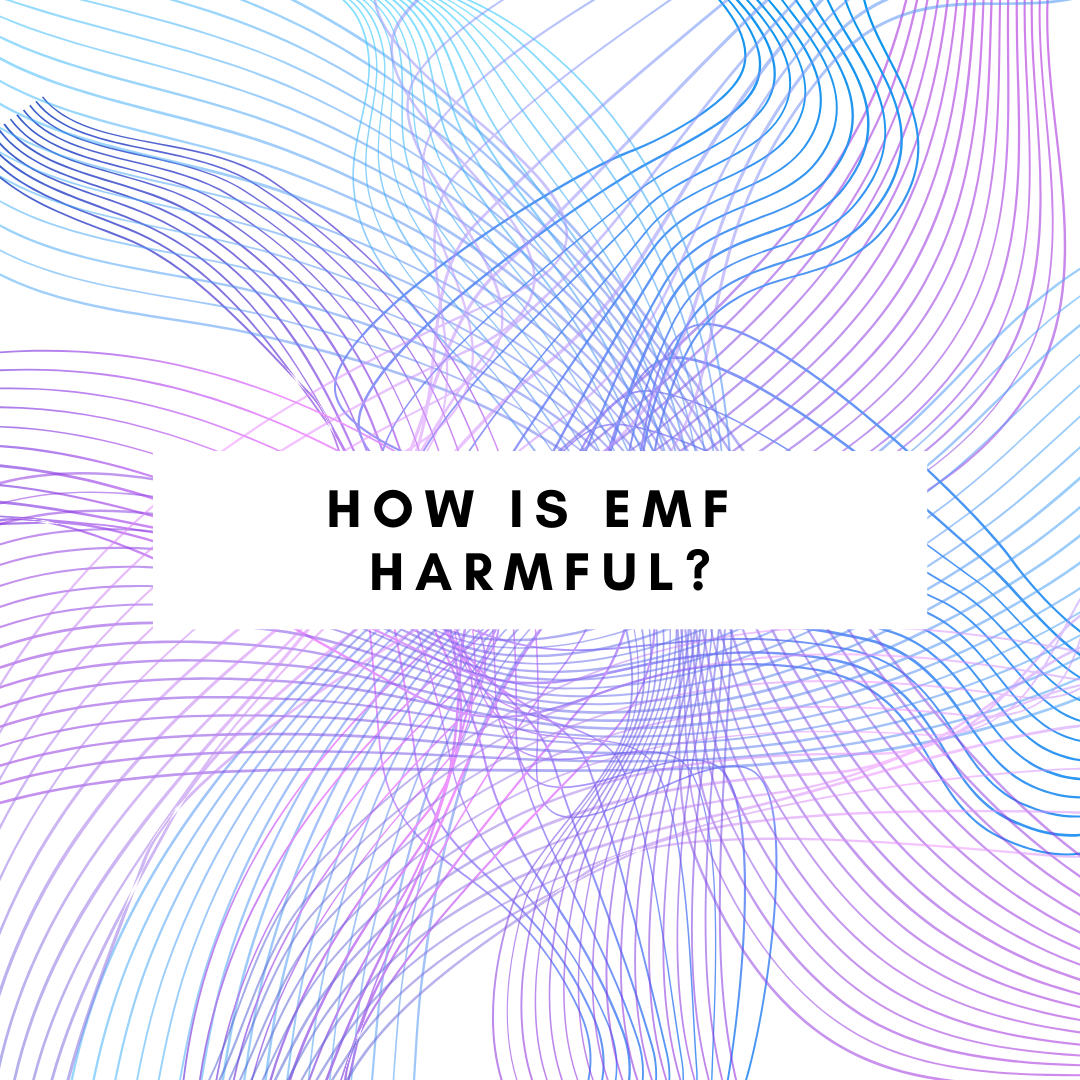 How is EMF harmful to our bodies?