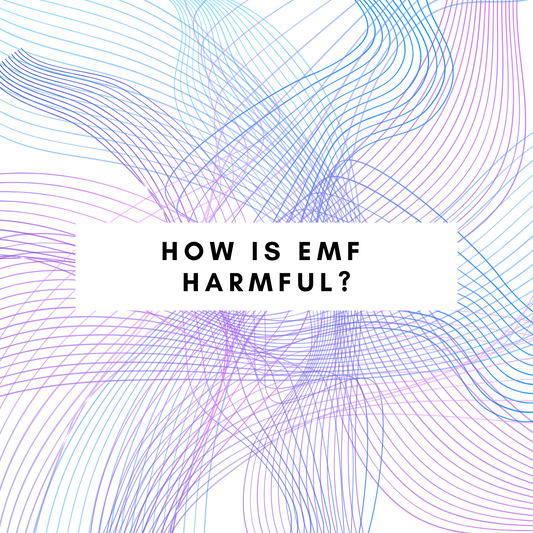 How is EMF harmful to our bodies?
